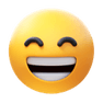 100% Satisfaction Guarantee